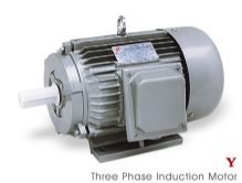 Electric Motor